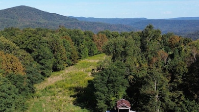 223 Delargy Ln, Hinton, WV 25951 - photo 2