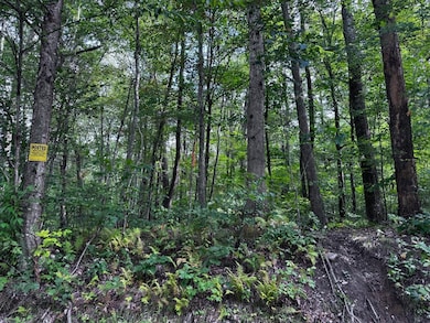 16 Rice Corner Rd, Brookfield, MA 01506 - photo 6