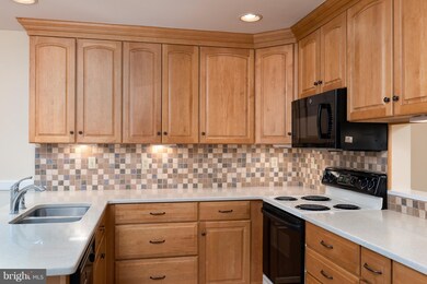 9816 Softwater Way, Columbia, MD 21046 - photo 4