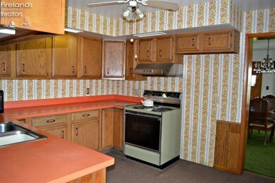 4205 N Elliston Trowbridge Rd, Graytown, OH 43432 - photo 5