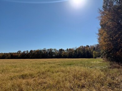 321 Bismark Ln, Hardin, KY 42048 - photo 2