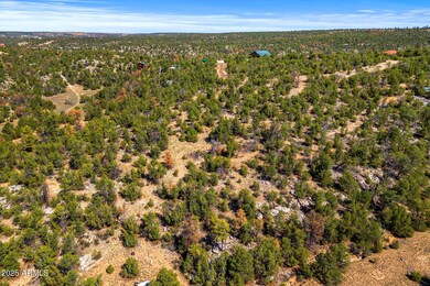 3656 Zane Grey Trail unit 60, Overgaard, AZ 85933 - photo 6