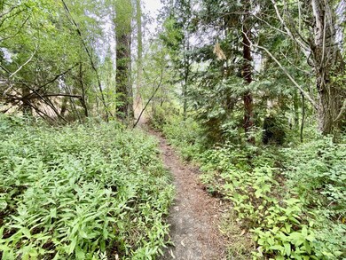 Creek & County Park Perimeter trail