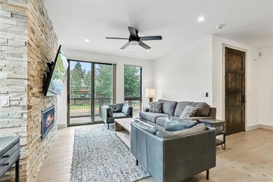 66 E 6th St, Silverthorne, CO 80498 - photo 4