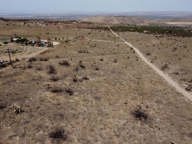 DJI_0067 - Copy