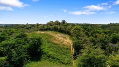 2 Pico de Piedra Aguada Puerto Rico, Aguada, PR 00602 - photo 6