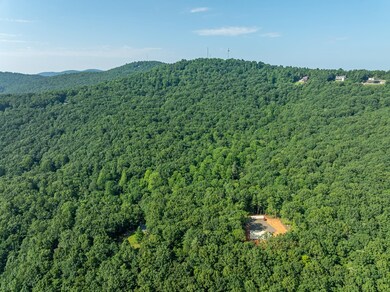 1298 Cold Stream Trail, Big Canoe, GA 30143 - photo 5