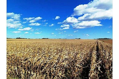 Land.