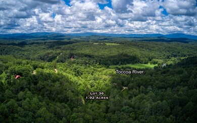LOT36 Bear Cub Trail, Mineral Bluff, GA 30559 - photo 3