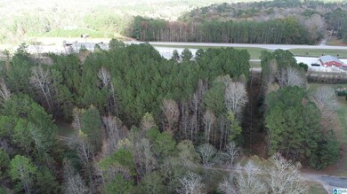 0 Bluffs Cir unit 28 & 29 21416174, Wedowee, AL 36278 - photo 4