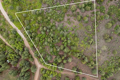 3-web-or-mls-Oak Tree Lot - www.aspencre