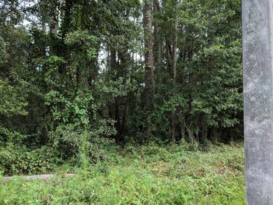 0 Lem Turner Rd unit 950490, Jacksonville, FL 32218 - photo 2