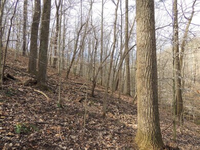 9037 Stage Rd, Logan, OH 43138 - photo 6