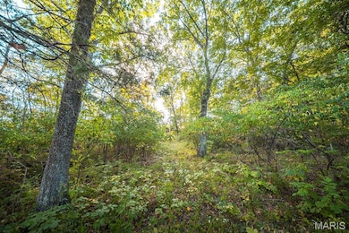 3107 Bouquet Rd, Glencoe, MO 63038 - photo 6