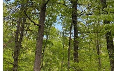 Additional View