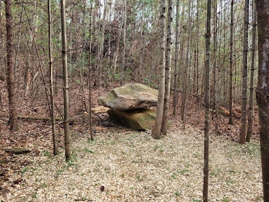 Lot 31 Poplar Cove, Hayesville, NC 28904 - photo 2