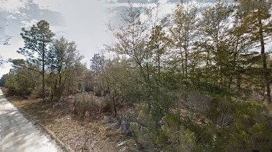 Lot 400 NE 95 St, Bronson, FL 32621 - photo 4