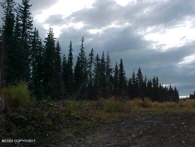 2013 Photo 2