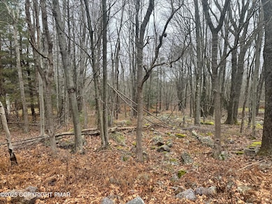 0 Crest View Dr 45 Aka Birch Dr, Blakeslee, PA 18610 - photo 2