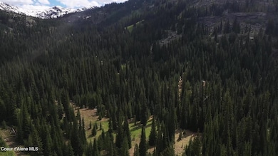 Video Pic 6