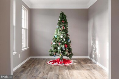 403 Craig Dr, Stephens City, VA 22655 - photo 4