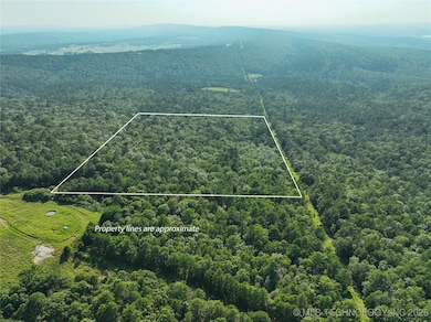 1 SE Hulsey Prairie, Panola, OK 74578 - photo 2