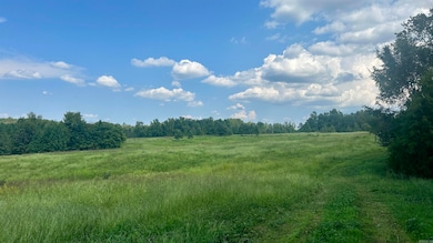 000 Goff Rd Via Easement, Quitman, AR 72131 - photo 7