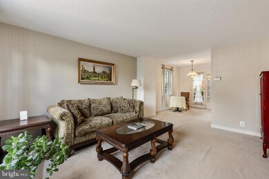 4849 28th St S unit B, Arlington, VA 22206 - photo 3