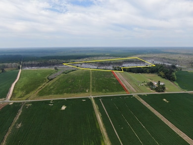 0 Gum Swamp Rd, Sellers, SC 29592 - photo 4