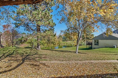 View from the covered back patio.