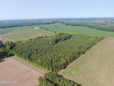 0 Colville St, Rowland, NC 28383 - photo 4