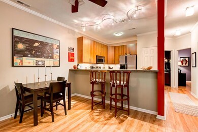 Dining - Kitchen