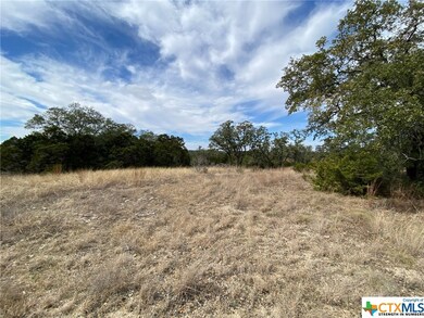 610 Angelica Vista, Canyon Lake, TX 78133 - photo 5