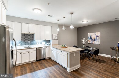 8005 13th St unit 109, Silver Spring, MD 20910 - photo 4