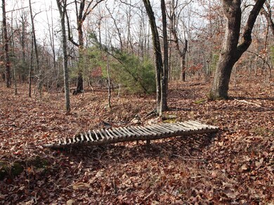 4254 V Hwy, Myrtle, MO 65778 - photo 6