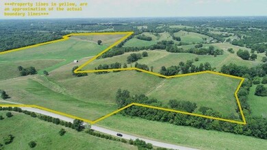 6260 MacKville Rd, Harrodsburg, KY 40330 - photo 4