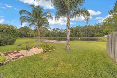 417 Cypress View Dr, Oldsmar, FL 34677 - photo 4