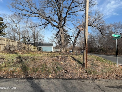 Tbd E 3rd St, Joplin, MO 64801 - photo 2
