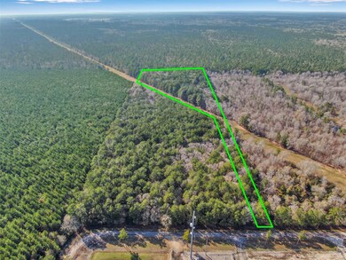 0 Pelican Rd unit 10571863, Shepherd, TX 77371 - photo 7