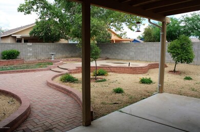 backyard 7