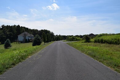 0 Creekview Rd unit PM-38030, Towamensing Township, PA 18058 - photo 4