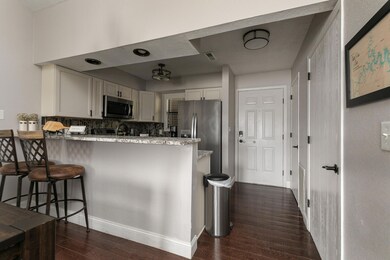 429 E Chinquapin unit 509, Branson, MO 65616 - photo 4