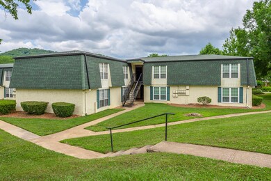 900 Mountain Creek Rd. V461 HD-31