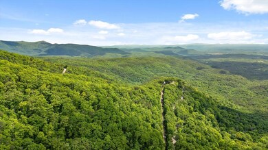 0 Highway 52 unit 415667, Chatsworth, GA 30705 - photo 5