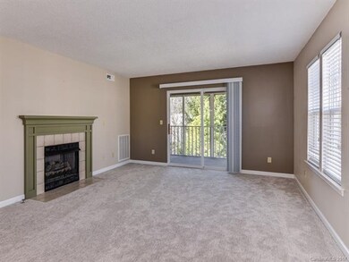 1006 Deermouse Way, Hendersonville, NC 28792 - photo 6