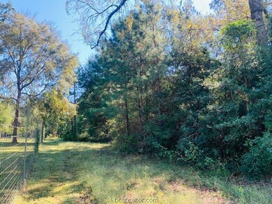 0 Sycamore Ln unit 21013469, Plantersville, TX 77363 - photo 4