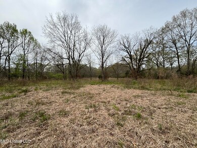 5 acres - Wildwood 3