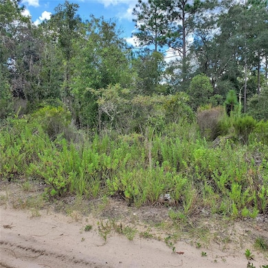0 NE 66th Ln unit MFRO6077218, Williston, FL 32696 - photo 2