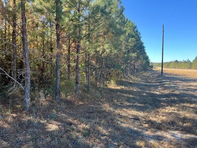 Henry Co Rd 46, Shorterville, AL 36373 - photo 7