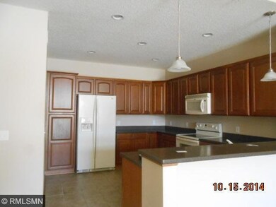 18877 97th Place N, Maple Grove, MN 55311 - photo 6